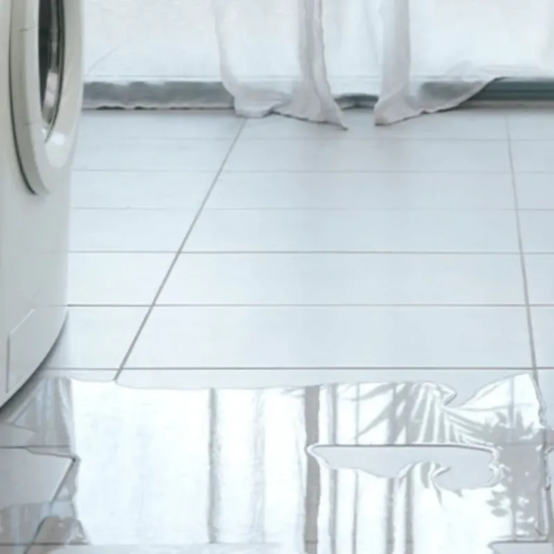Appliance Leak Cleanup in Junction, TX