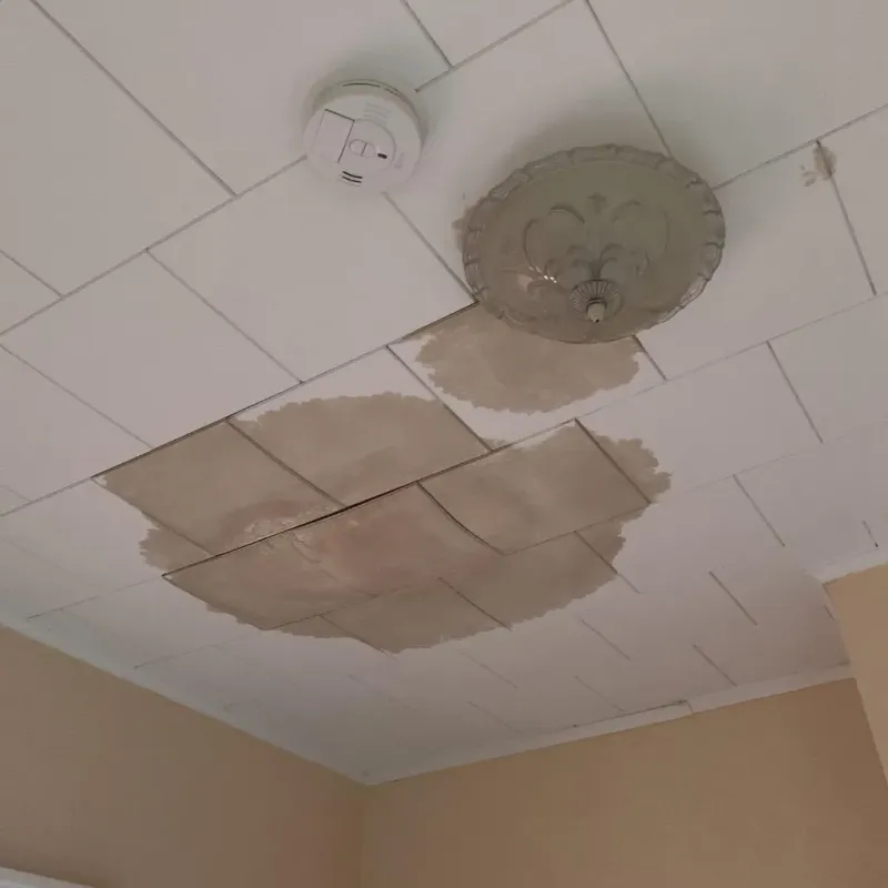 Ceiling Water Damage Repair in Junction, TX