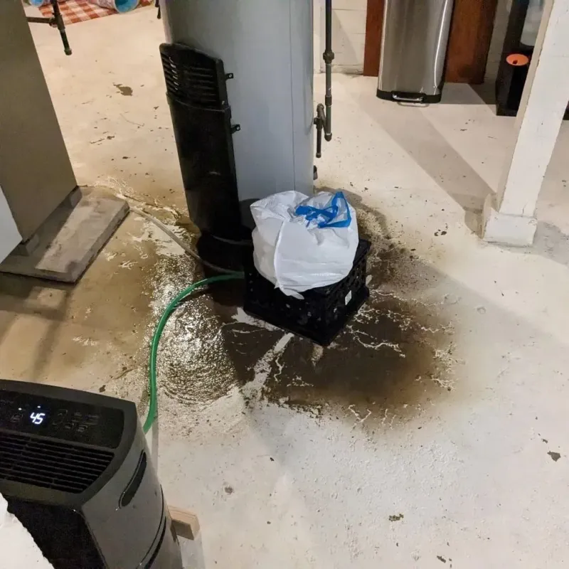 Sewage Backup Cleanup Service in Junction, TX